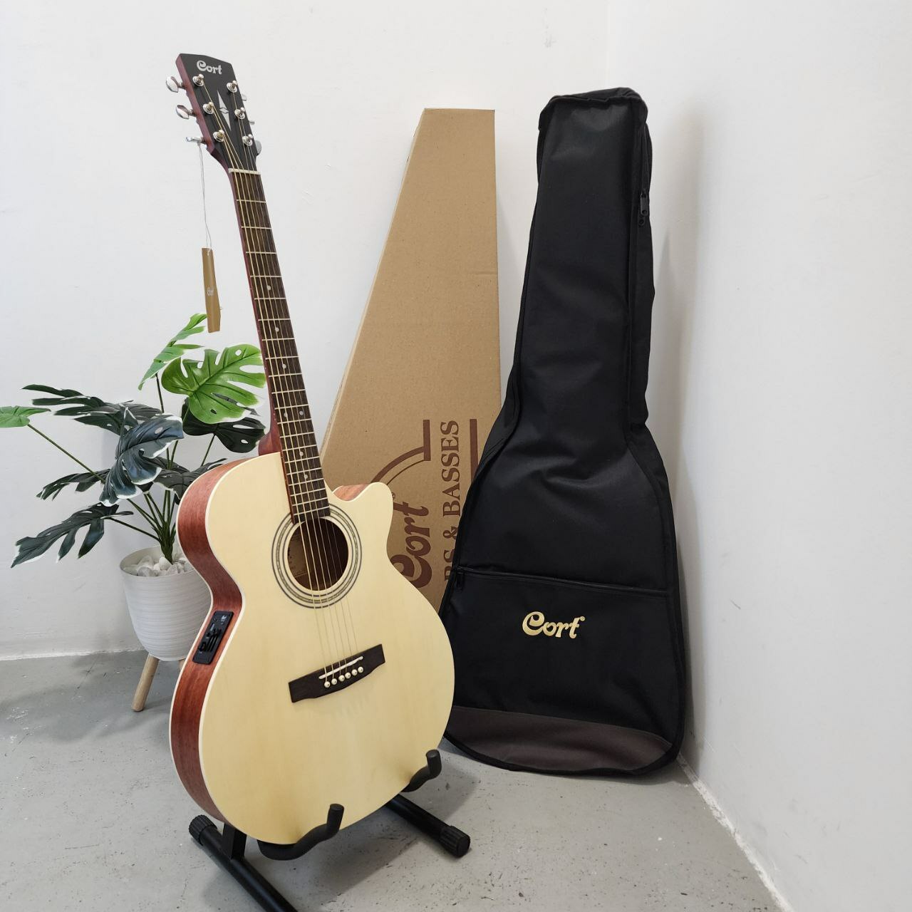 Cort SFX-ME Slim Body Depth Spruce Top Acoustic Guitar with Pickup - Open  Pore (SFXME SFX ME) - LBS Music World Malaysia