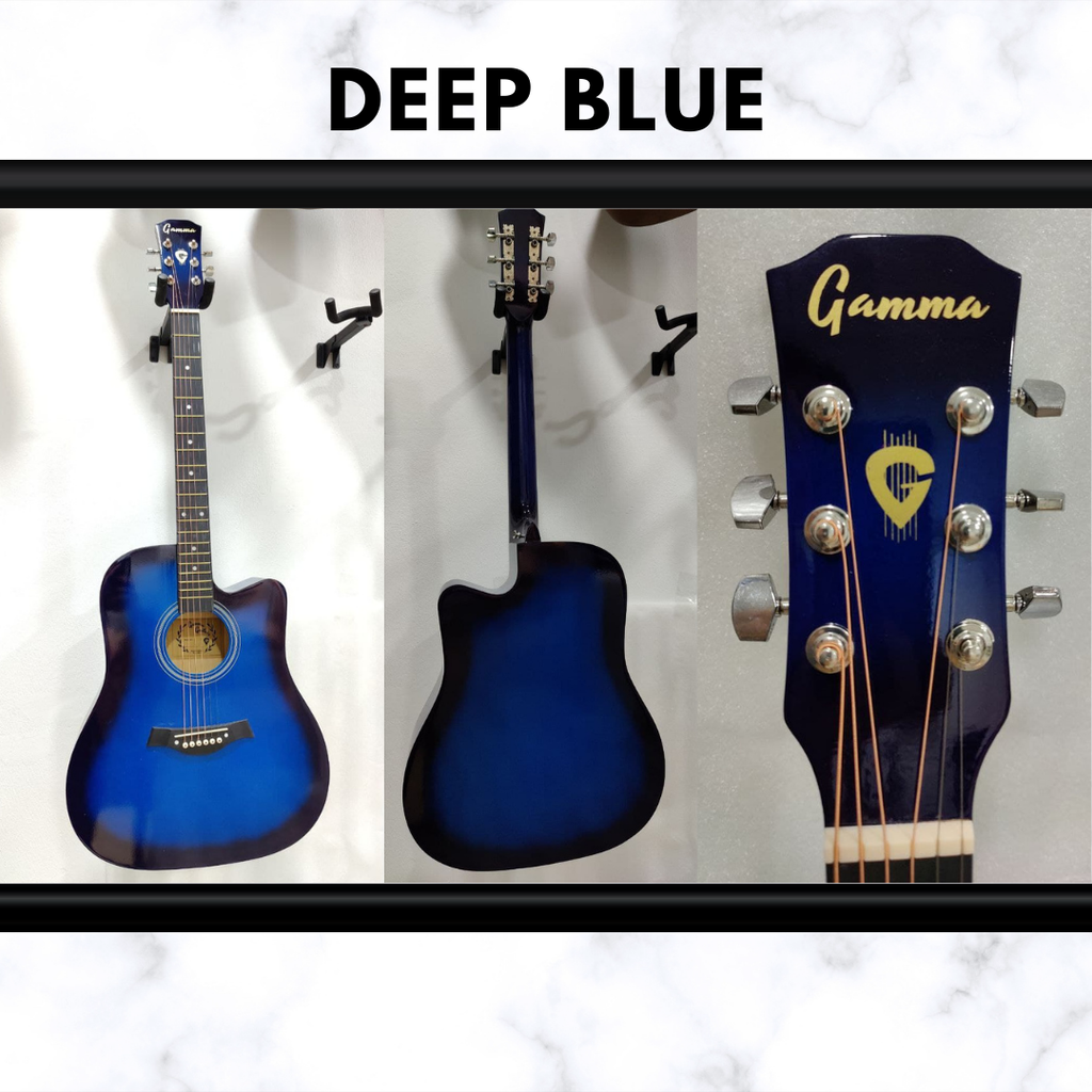 Gamma FT221 - Blue