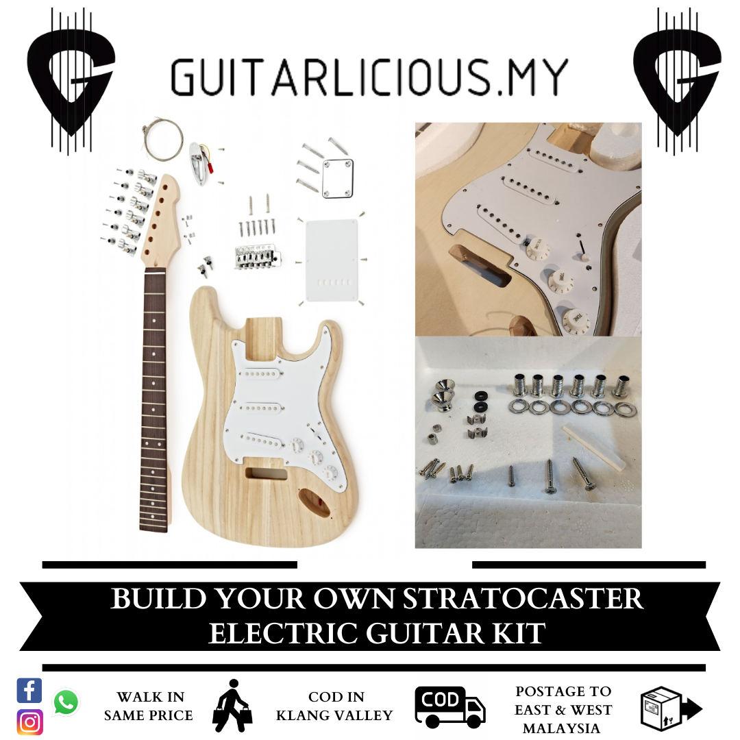DIY Stratocaster Kit