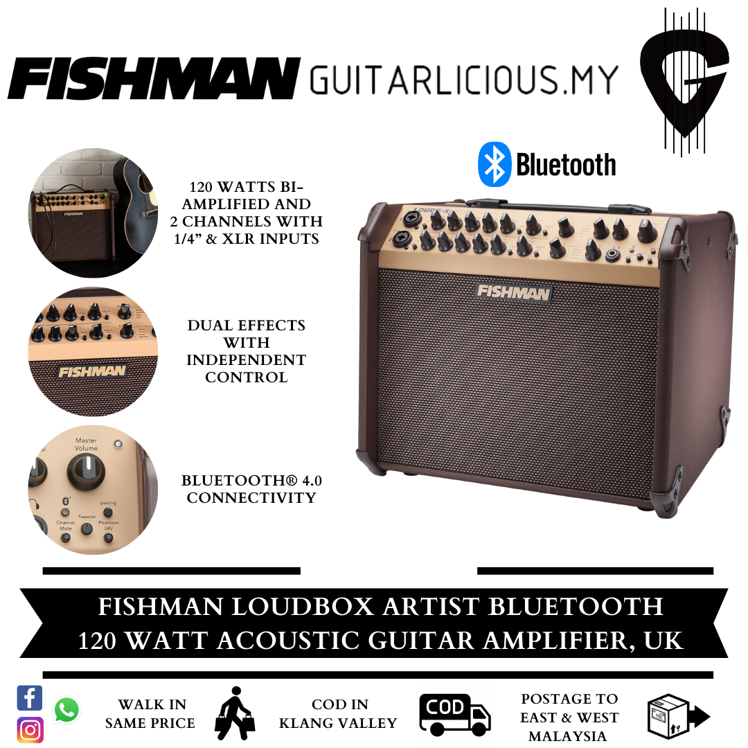 Fishman Loudbox Artist Bluetooth (2)