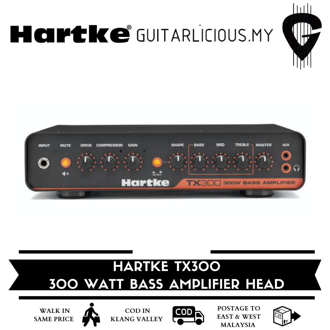 Hartke TX300 - Front