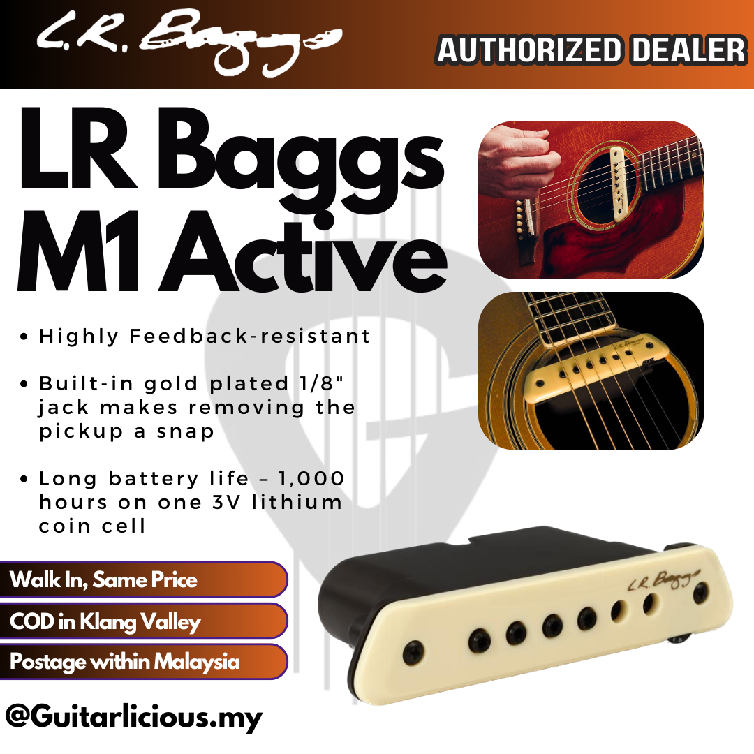 L.R.Baggs M1 Passive アコギ ピックアップ - ギター