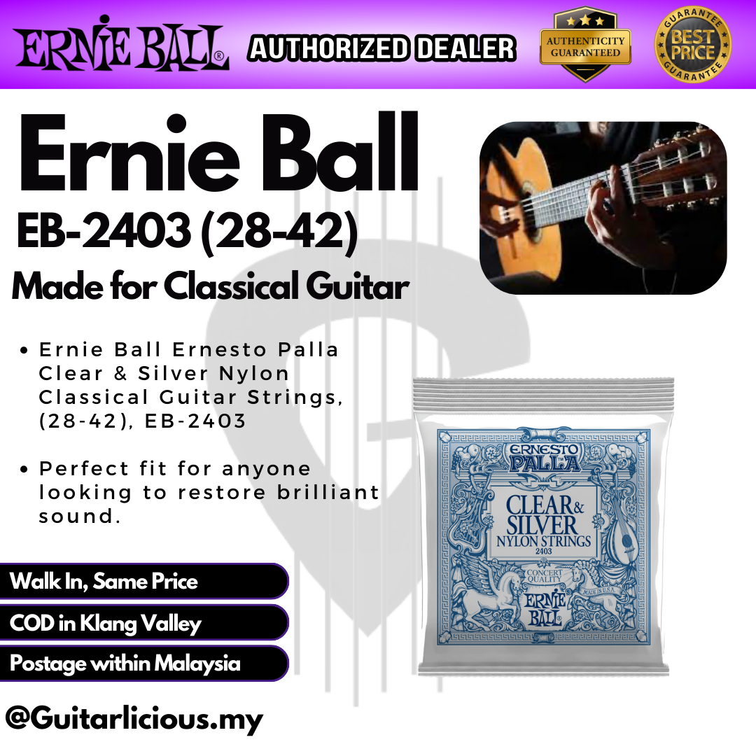 Ernie Ball EB-2403