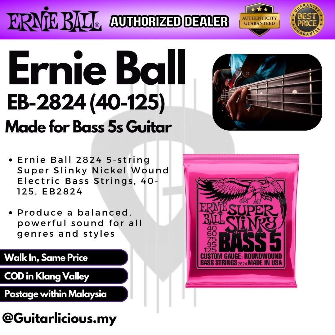 Ernie Ball EB-2824