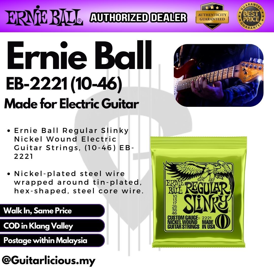 Ernie Ball EB-2221