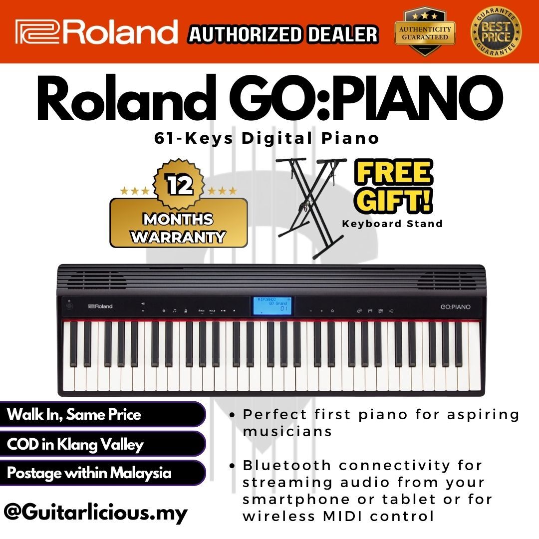 Roland GO-61P