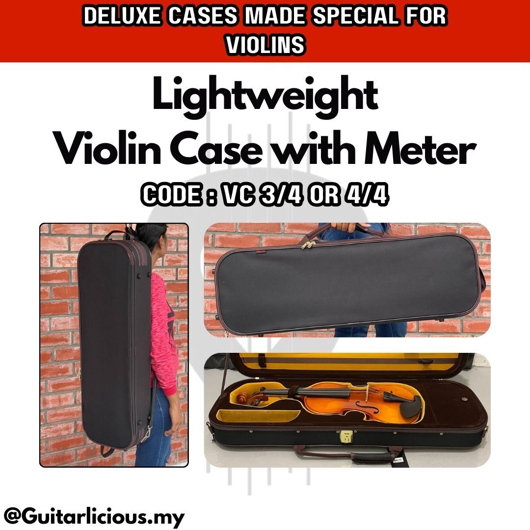 Violin Case - Colour