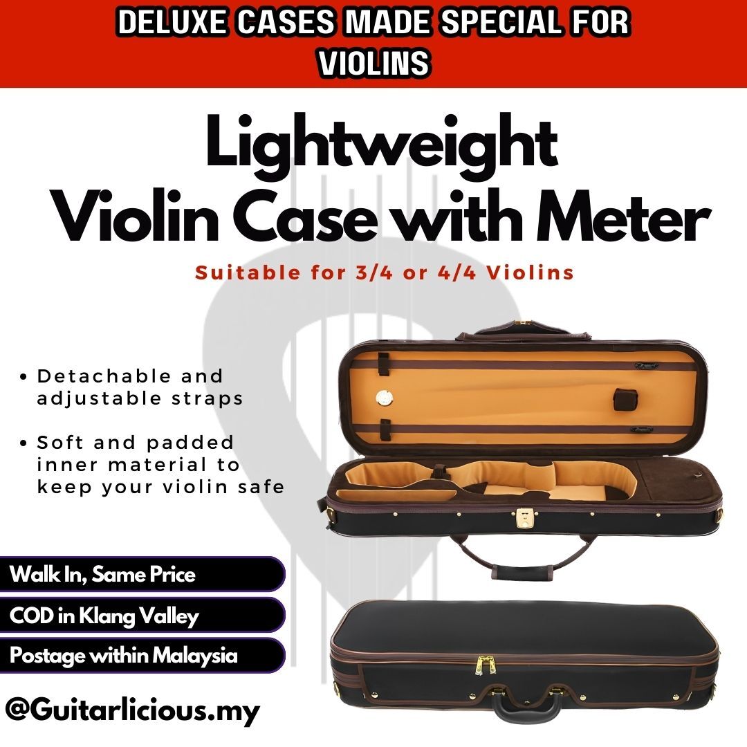 Violin Case