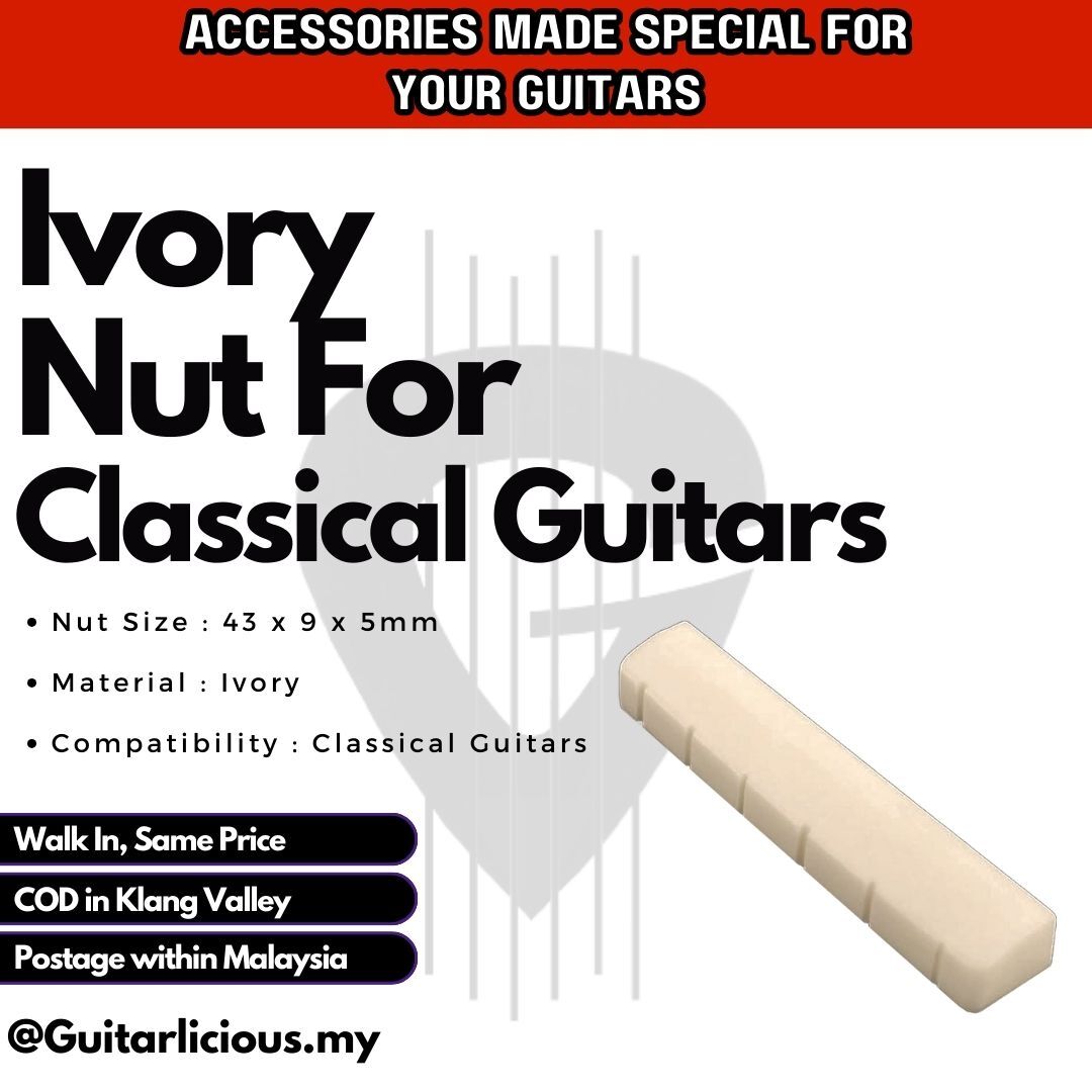 Nut - Classical, Ivory