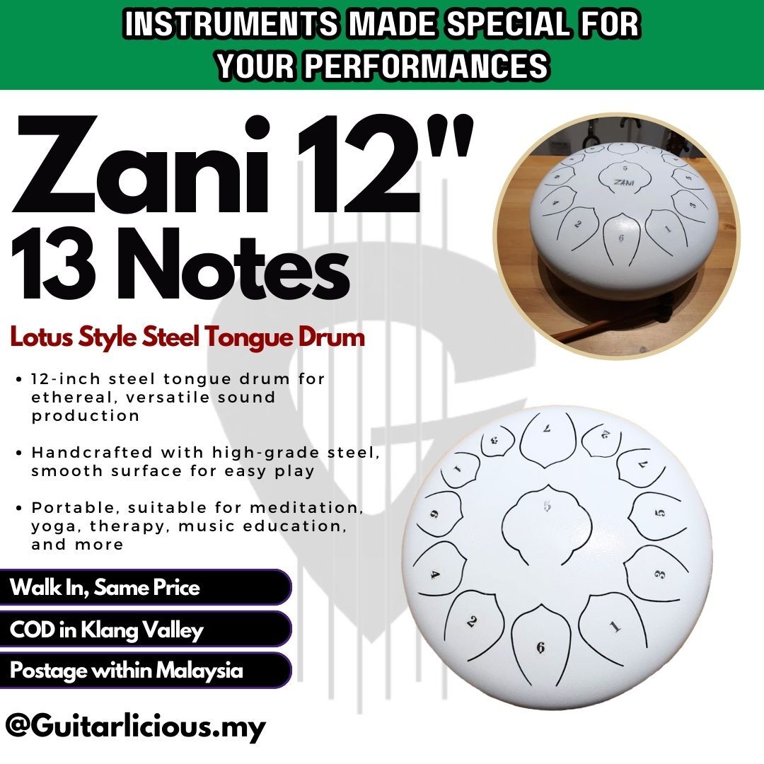 Zani 12 _ 13 notes Lotus Style Steel Tongue Drum (2)
