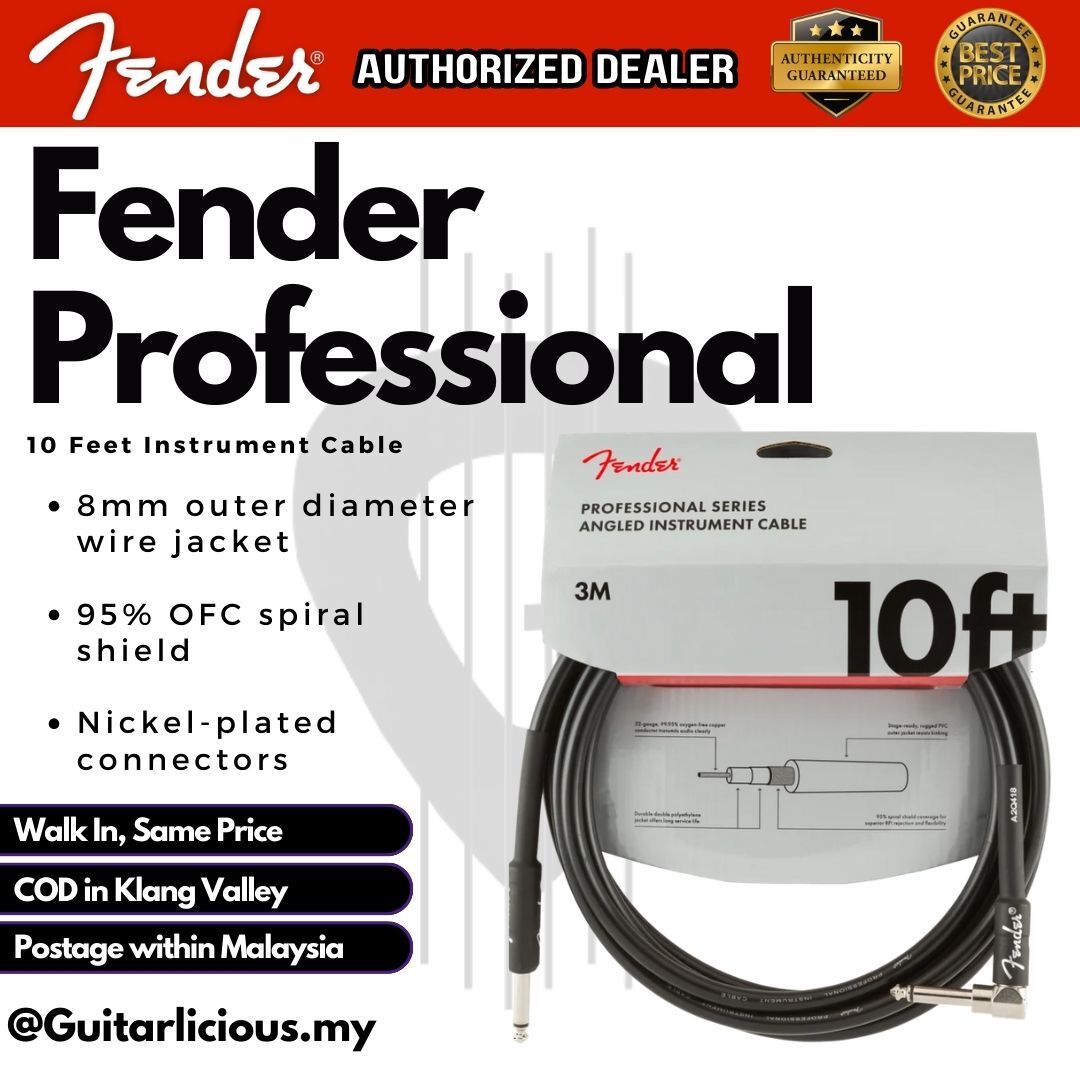 Fender Professional - Black