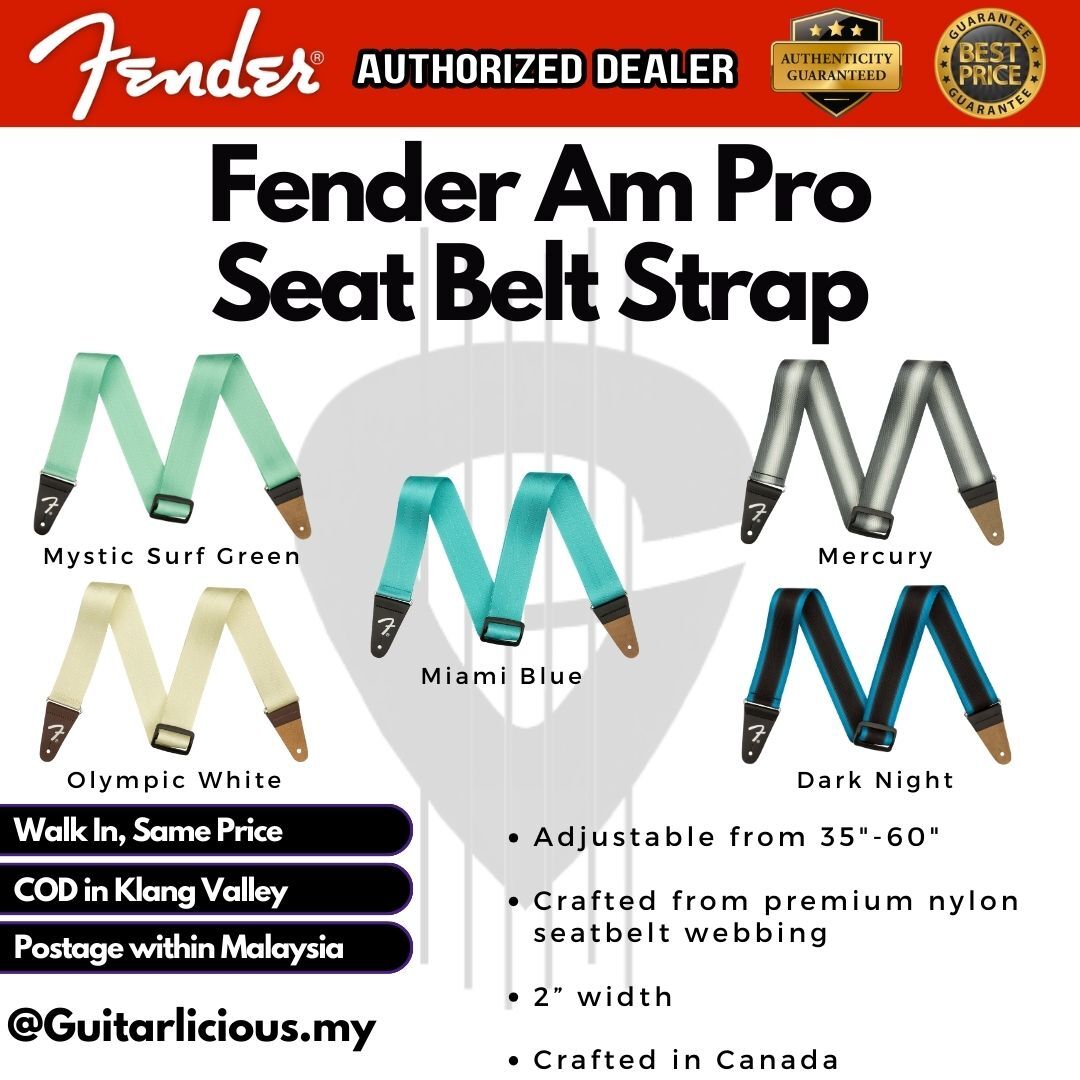 Fender Am Pro - All