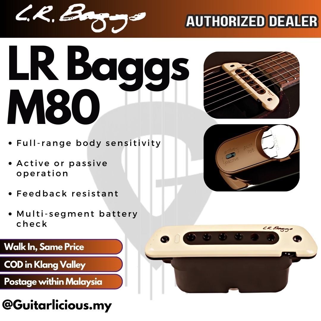 LR Baggs M80