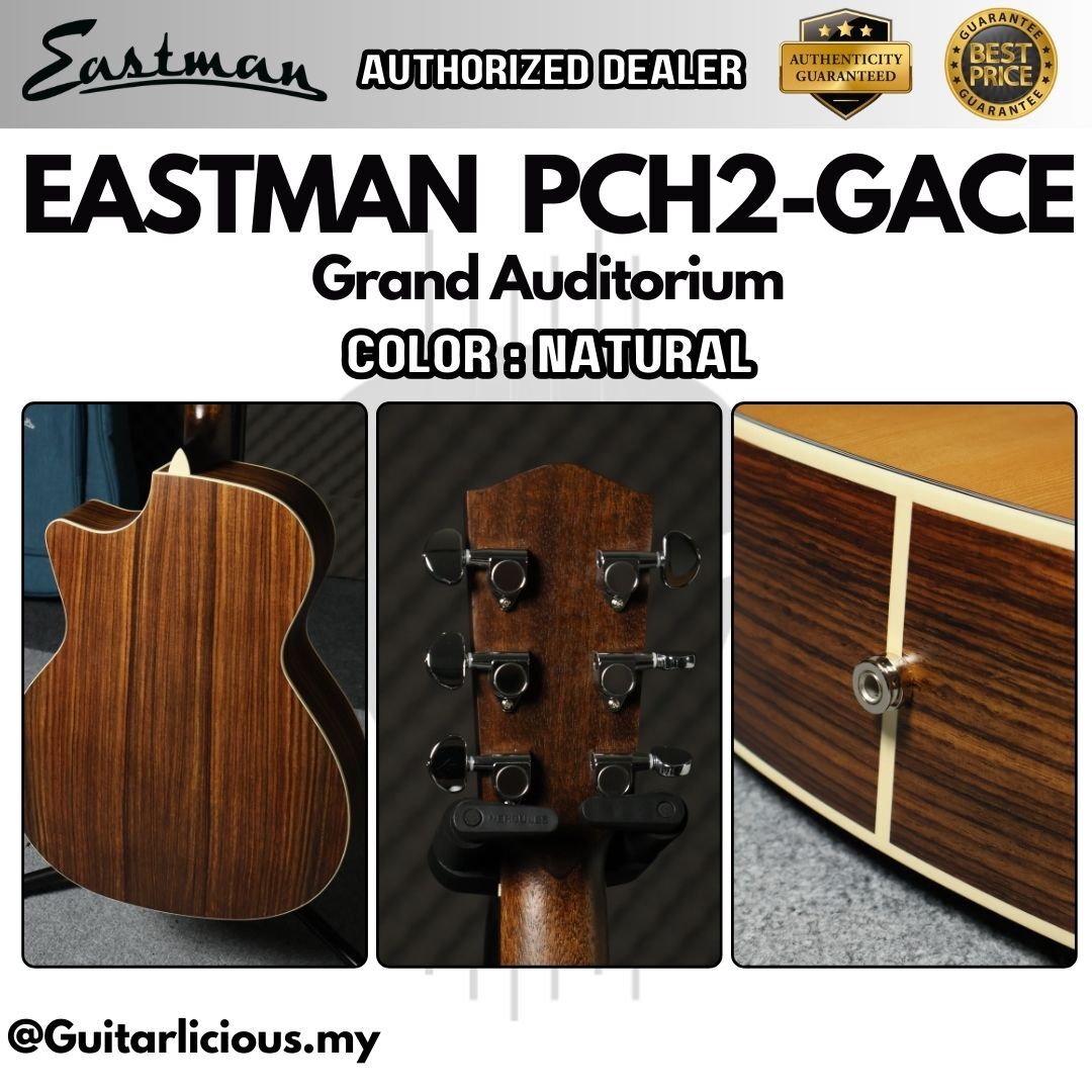 PCH2-GACE, NAT (2)