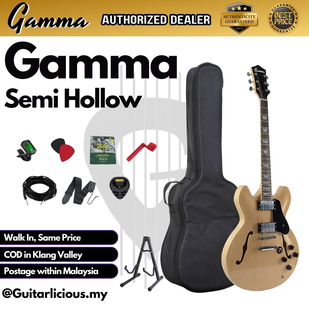 Gamma Semi Hollow _ Natural - D (2)