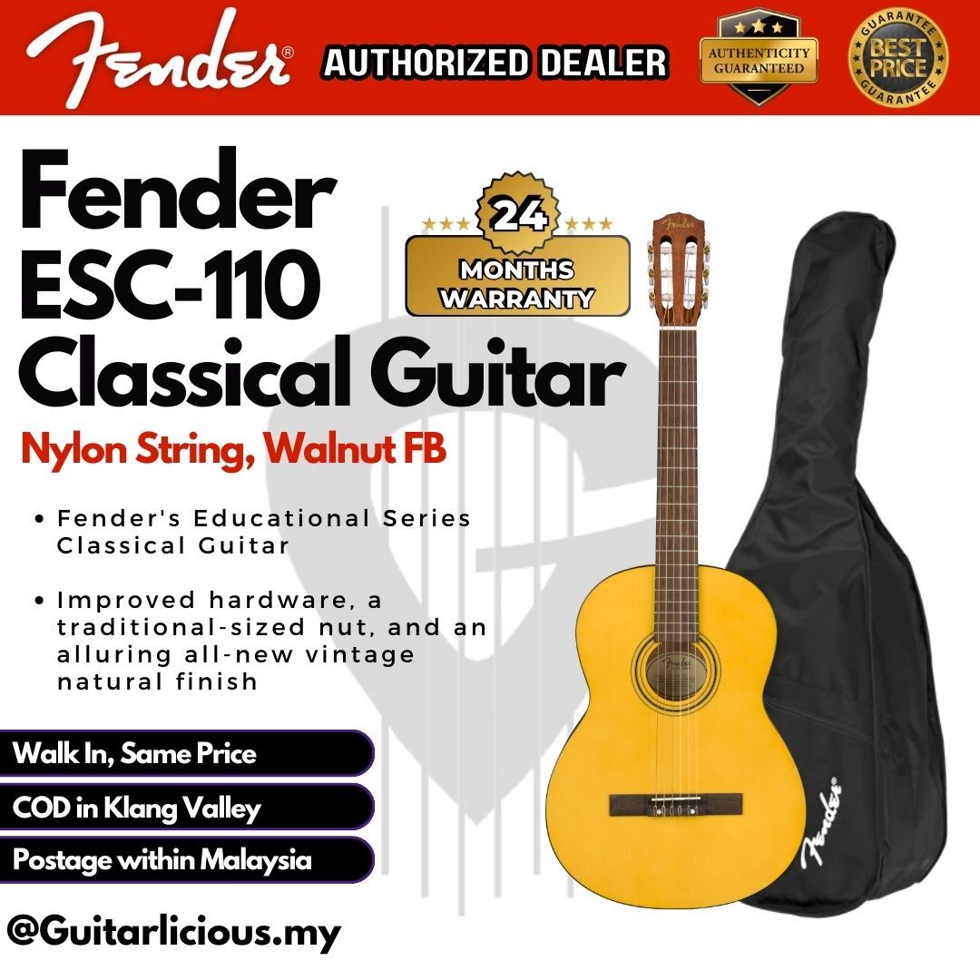 Fender ESC-110, Package A