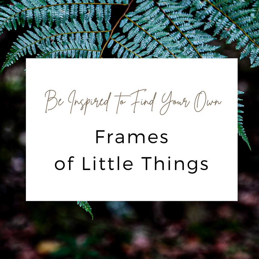 Frames Of Little Things | 