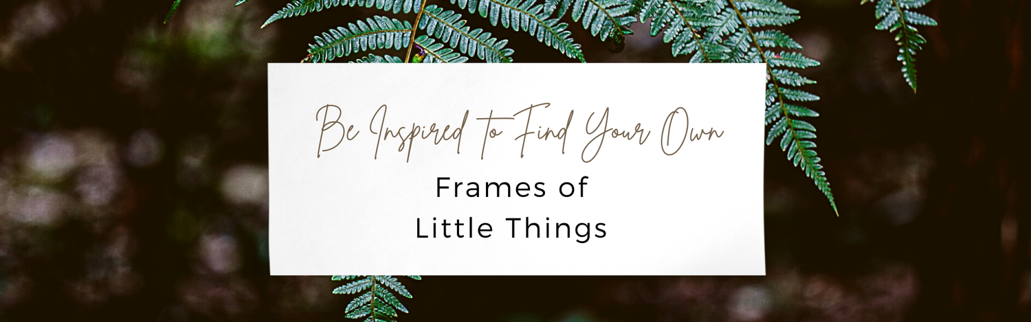 Frames Of Little Things | 
