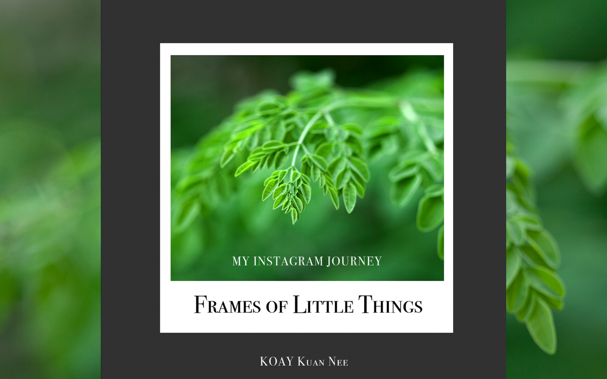 (Coming Soon) Fundraising Book Launch of Frames of Little Things: My Instagram Journey