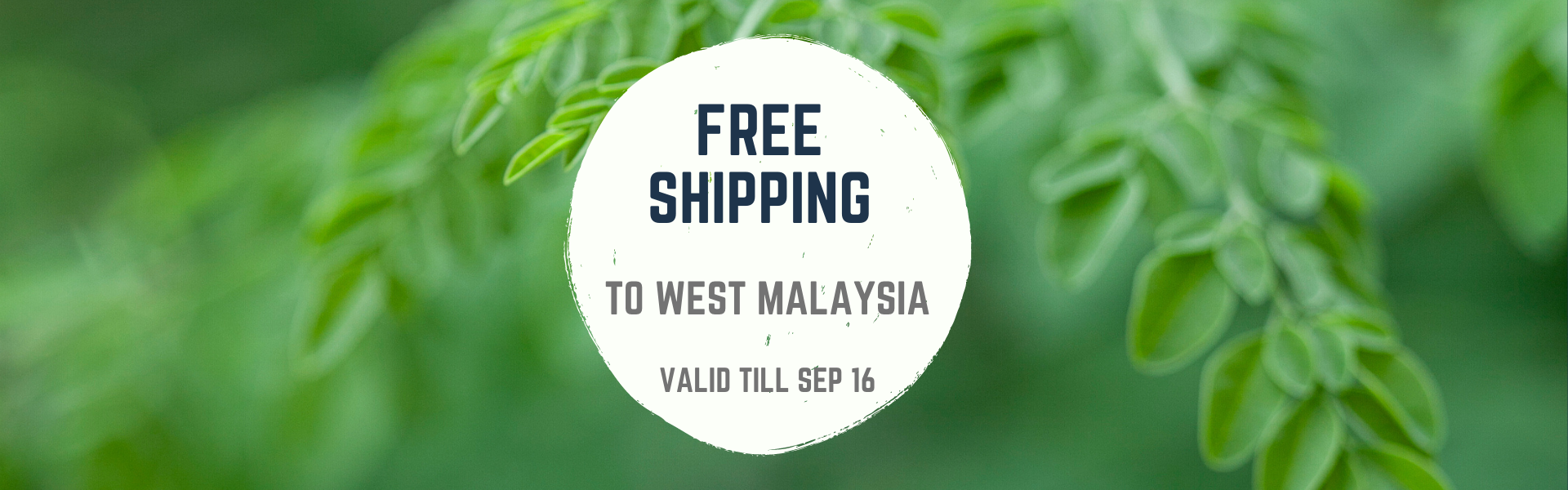 WEB Free Shipping 16 Sep .png