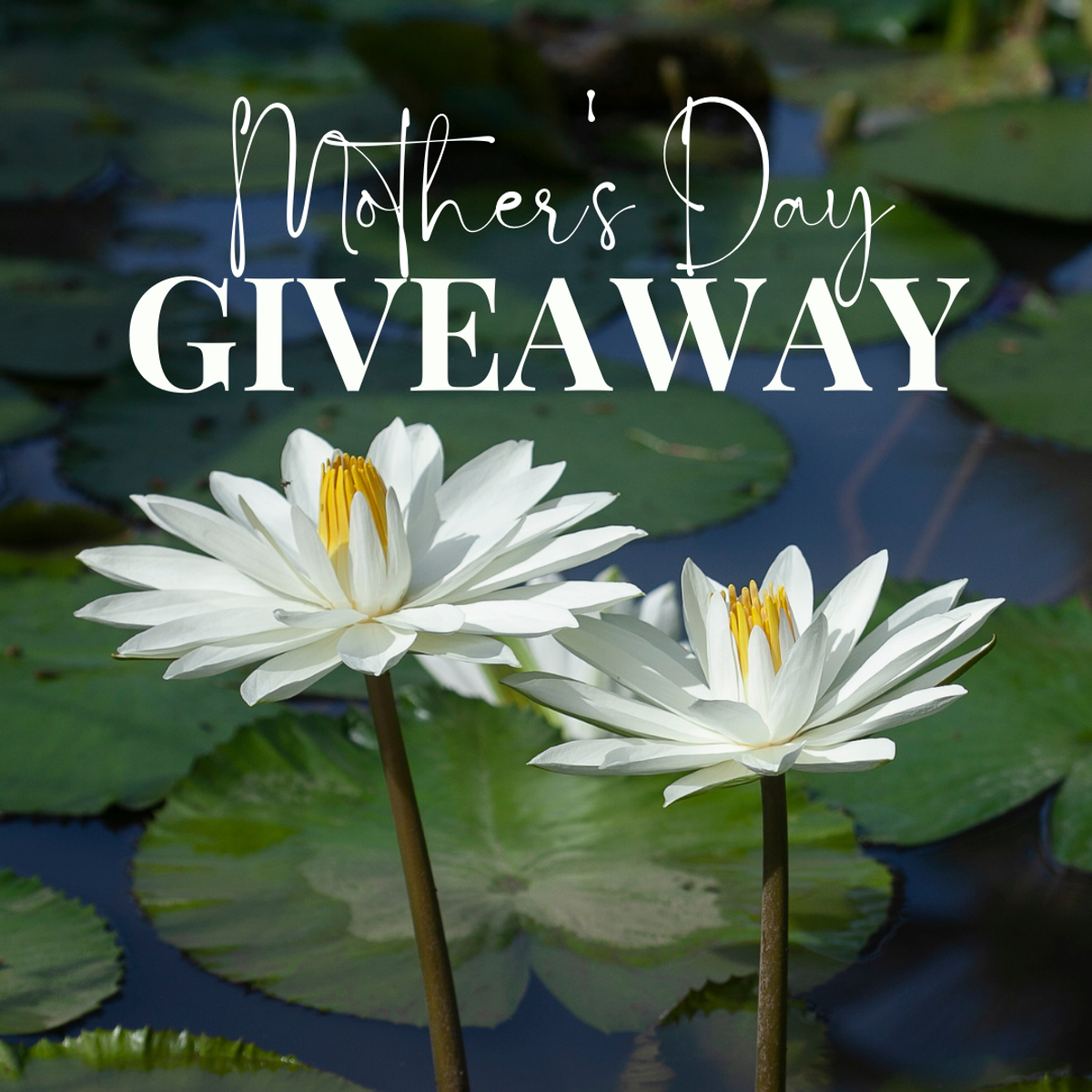 Mother's Day Giveaway on Instagram