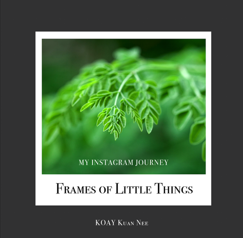 Screenshot 2021-07-31 at 8.39.25 PM.png