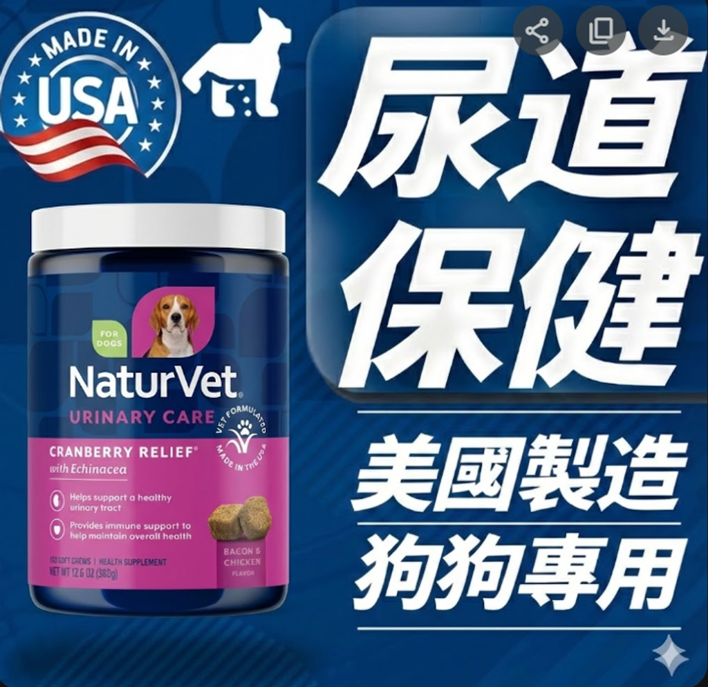 螢幕擷取畫面 2026-01-18 221015