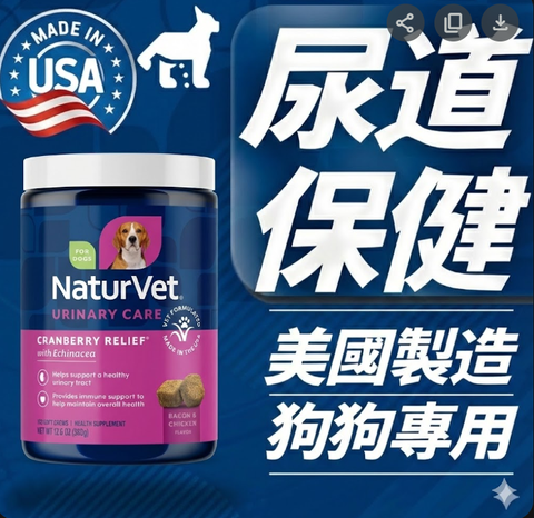 螢幕擷取畫面 2026-01-18 221015