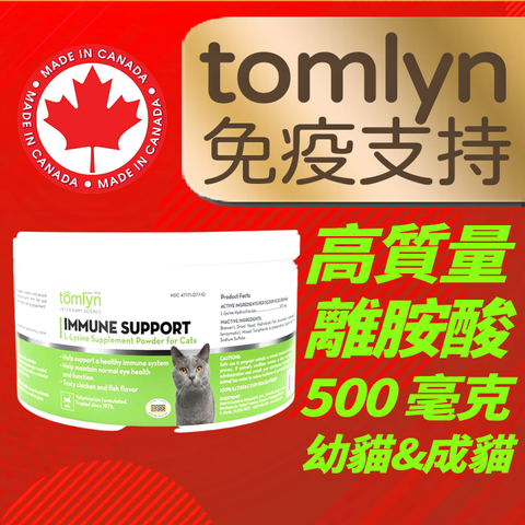 20241119tomlyn