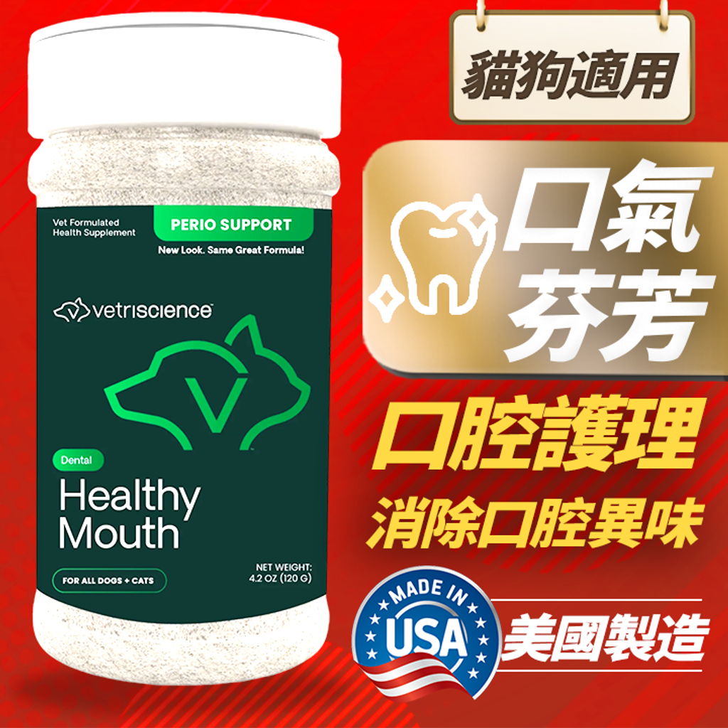 20221109teethclean (1)