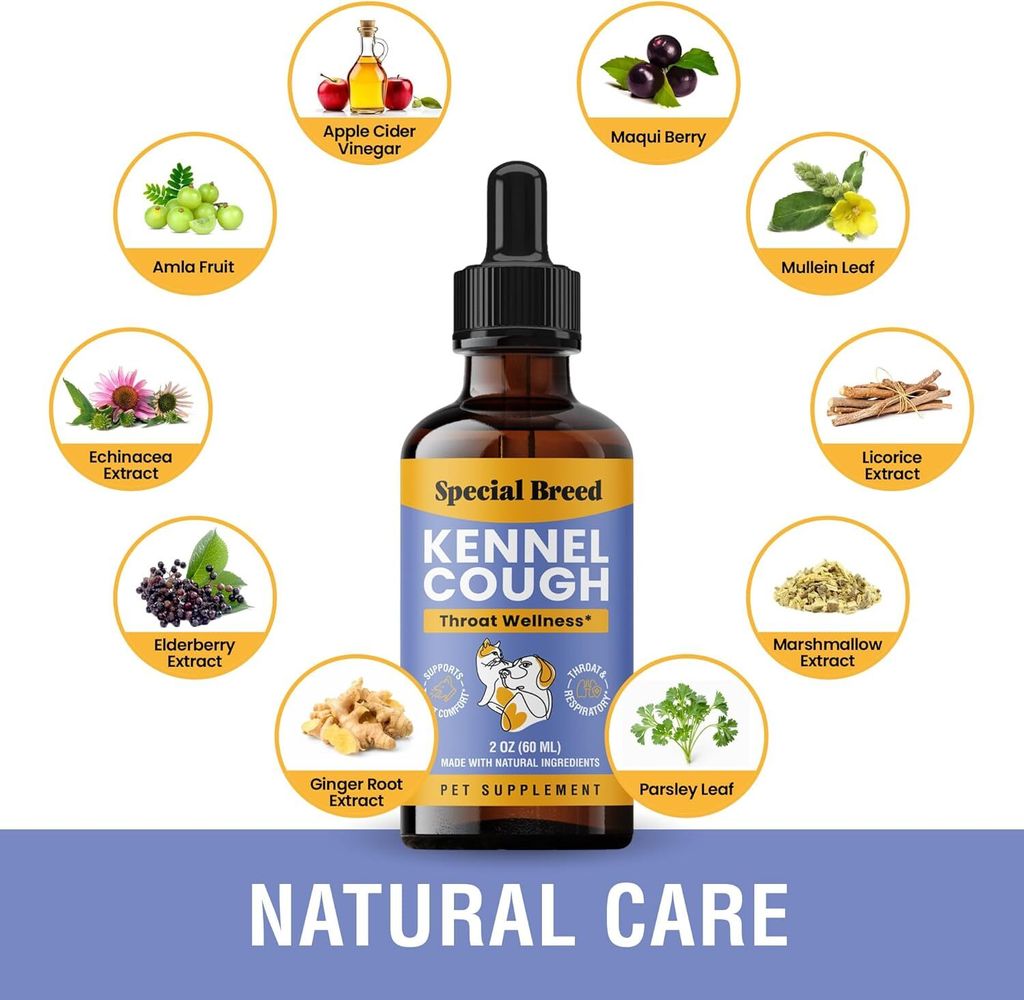 71DcSXlfvaL._AC_SL1500_