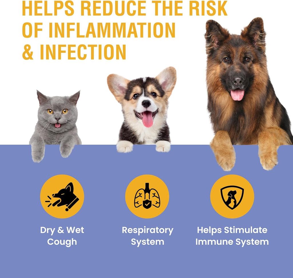 71JXITPDmEL._AC_SL1500_