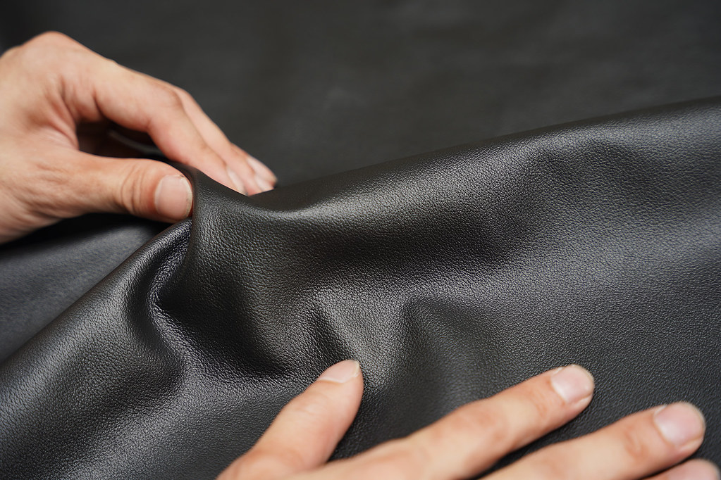 52199796381_96ea765d83_b