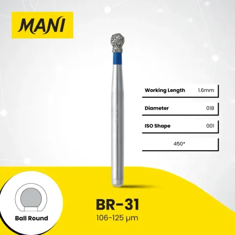 Copy of BR-31