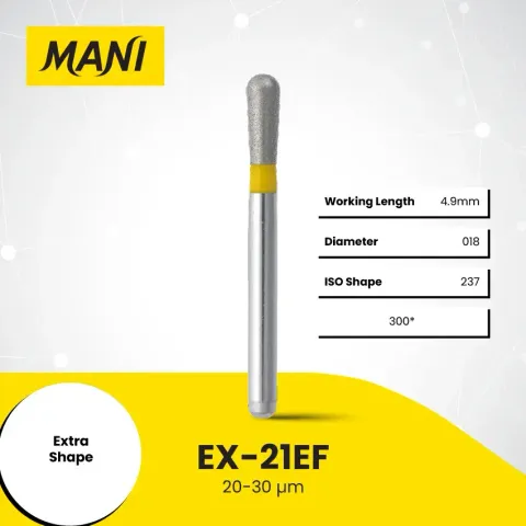 Copy of EX-21EF