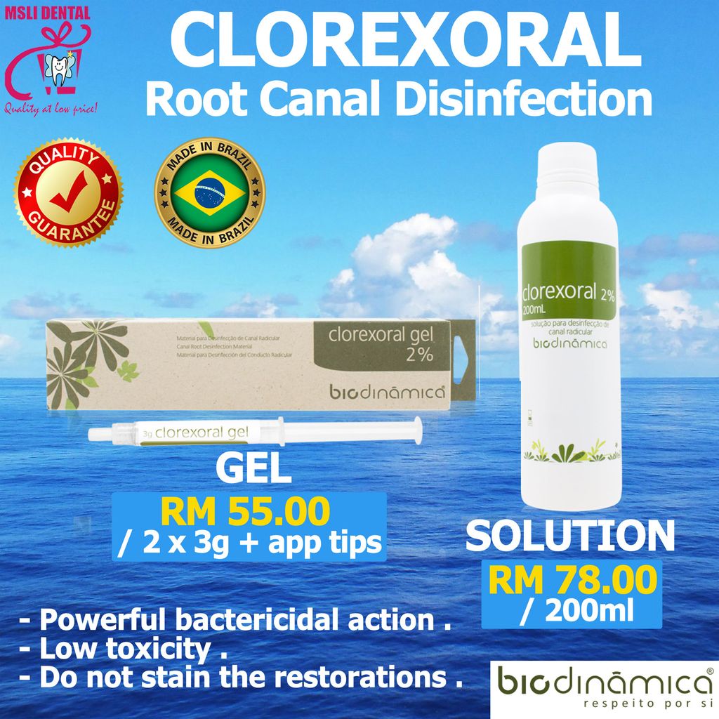 CLOREXORAL Root Canal Disinfection MSLI Dental Supplies