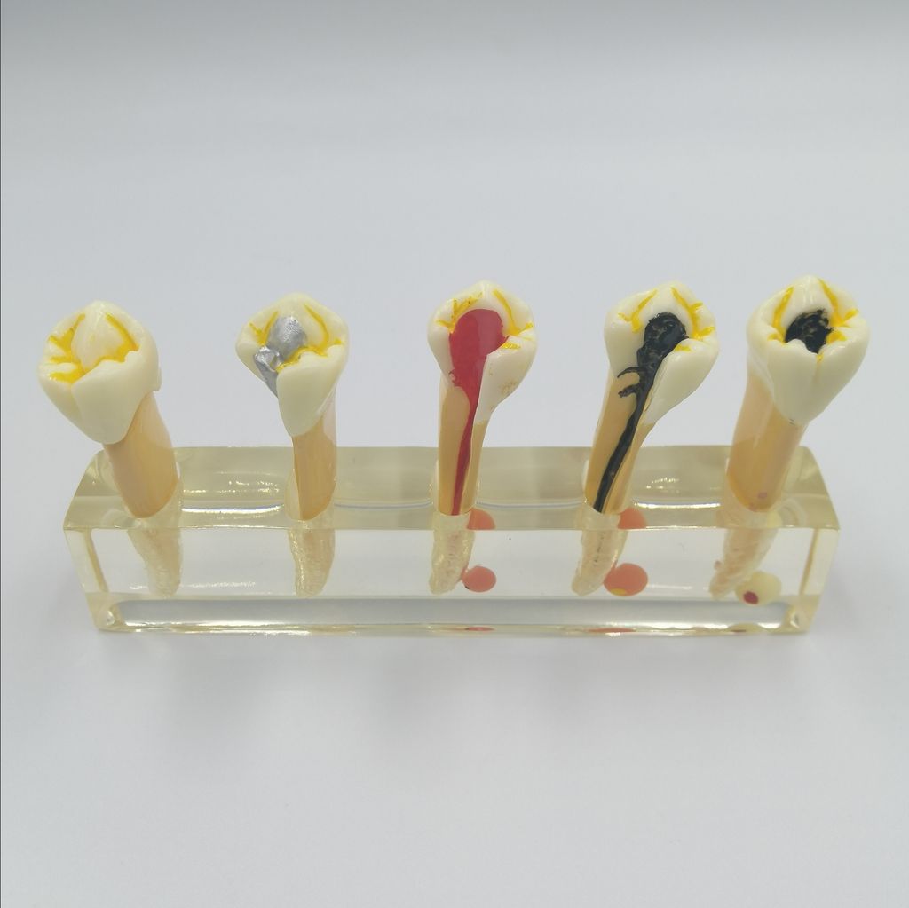 id=8c567c88-44fe-49a2-8cfa-8245926835a1.jfif