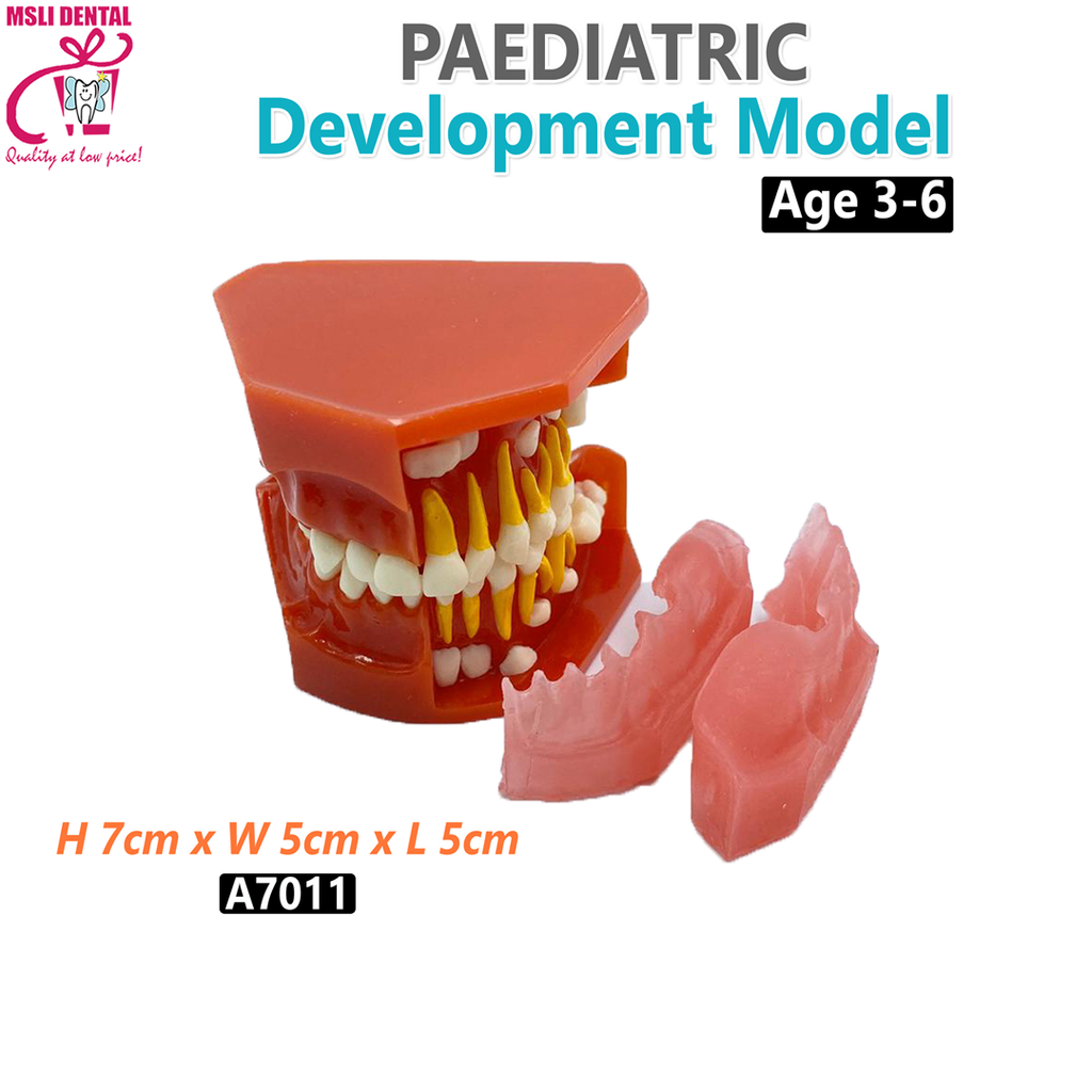 Pediatic Development Model.png