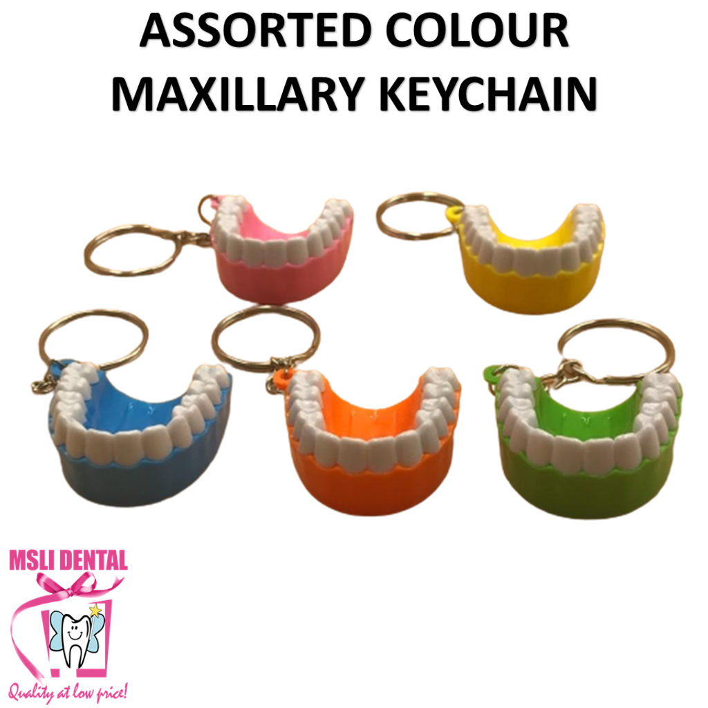 Assorted Colour Maxillary Keychain.png