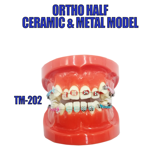 ORTHO RESIN - Set Kit (68).png