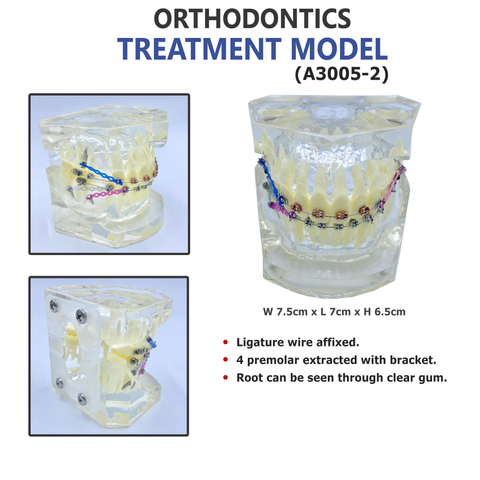 ORTHO RESIN - Set Kit (69).png