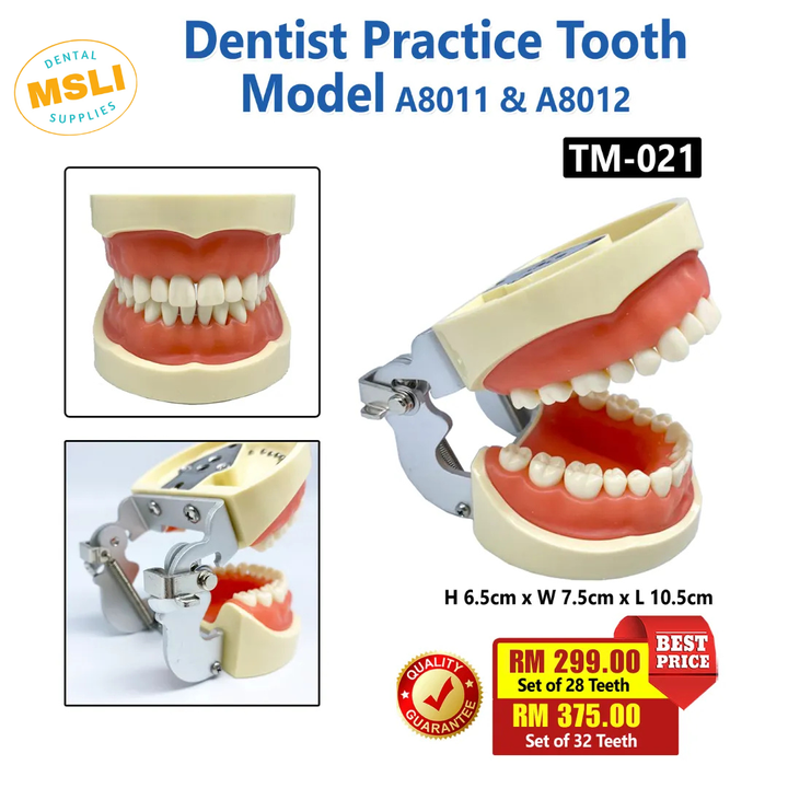 Product Template - 2024-11-21T155822.772