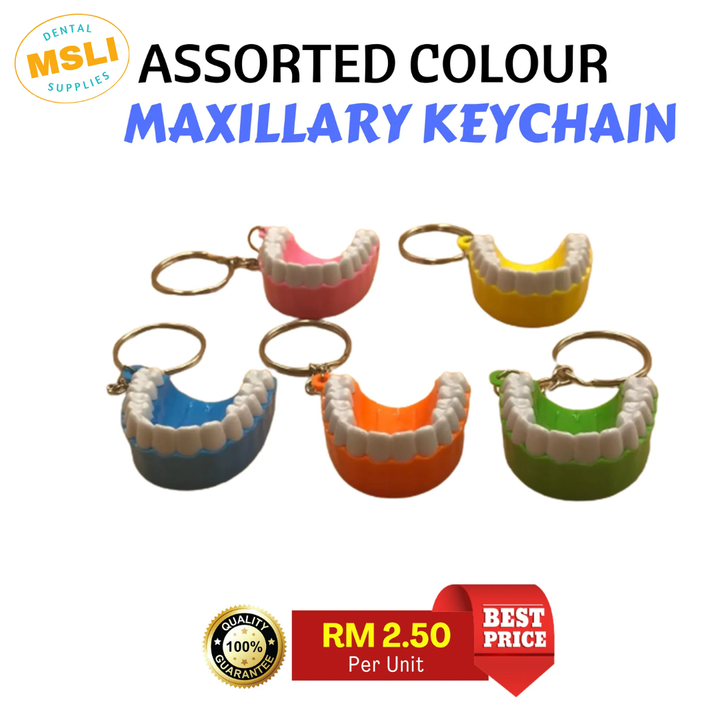 Product Template - 2024-11-21T162208.853