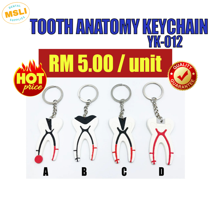 Product Template - 2024-11-22T112629.802