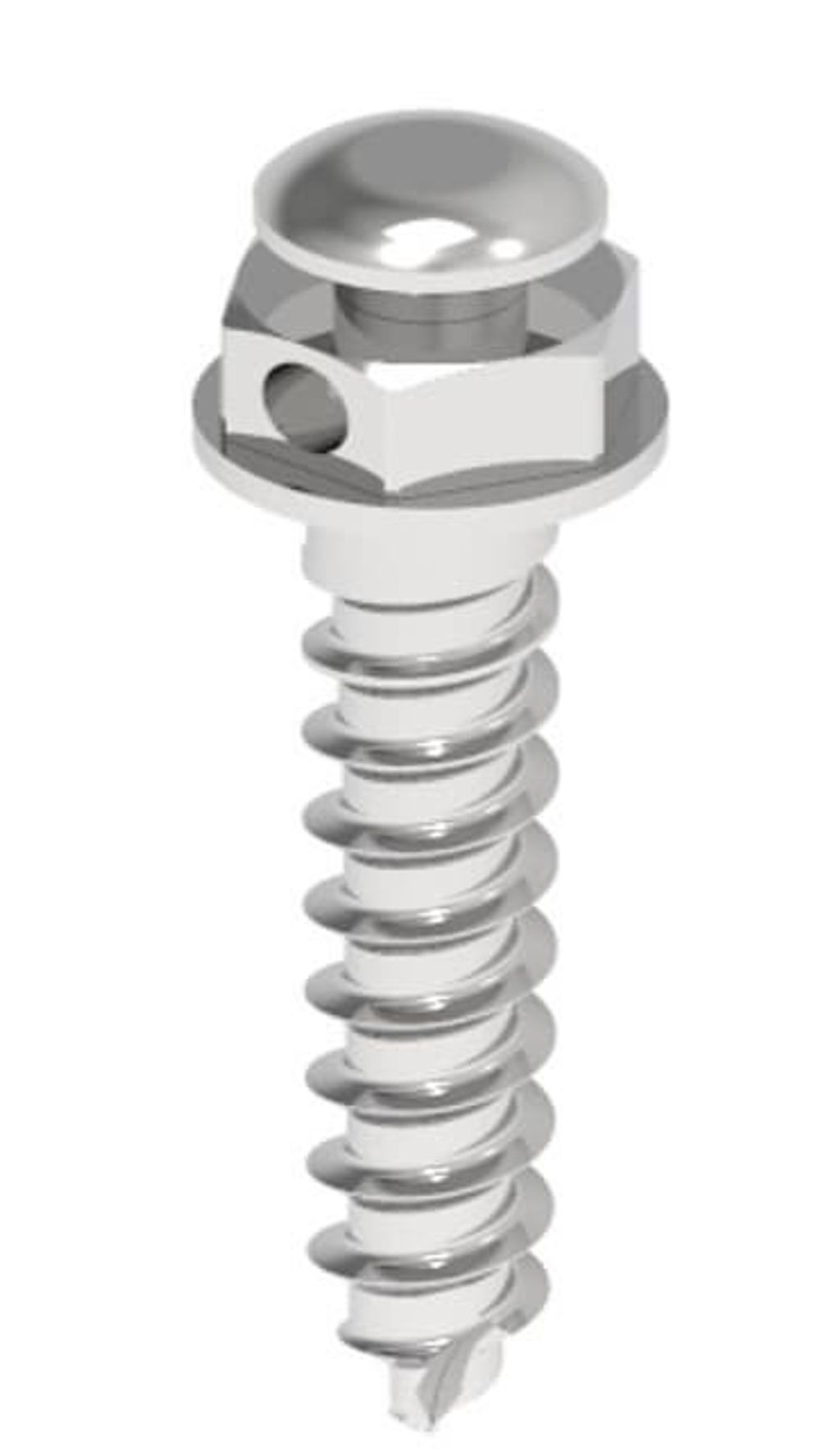 FixCrew Orthodontic Mini Implant_1