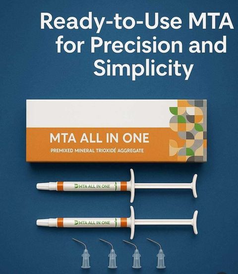 mta all