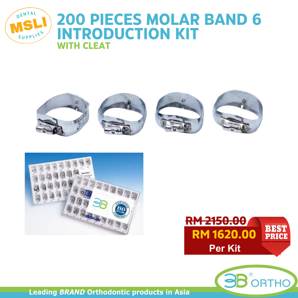 3b (10)