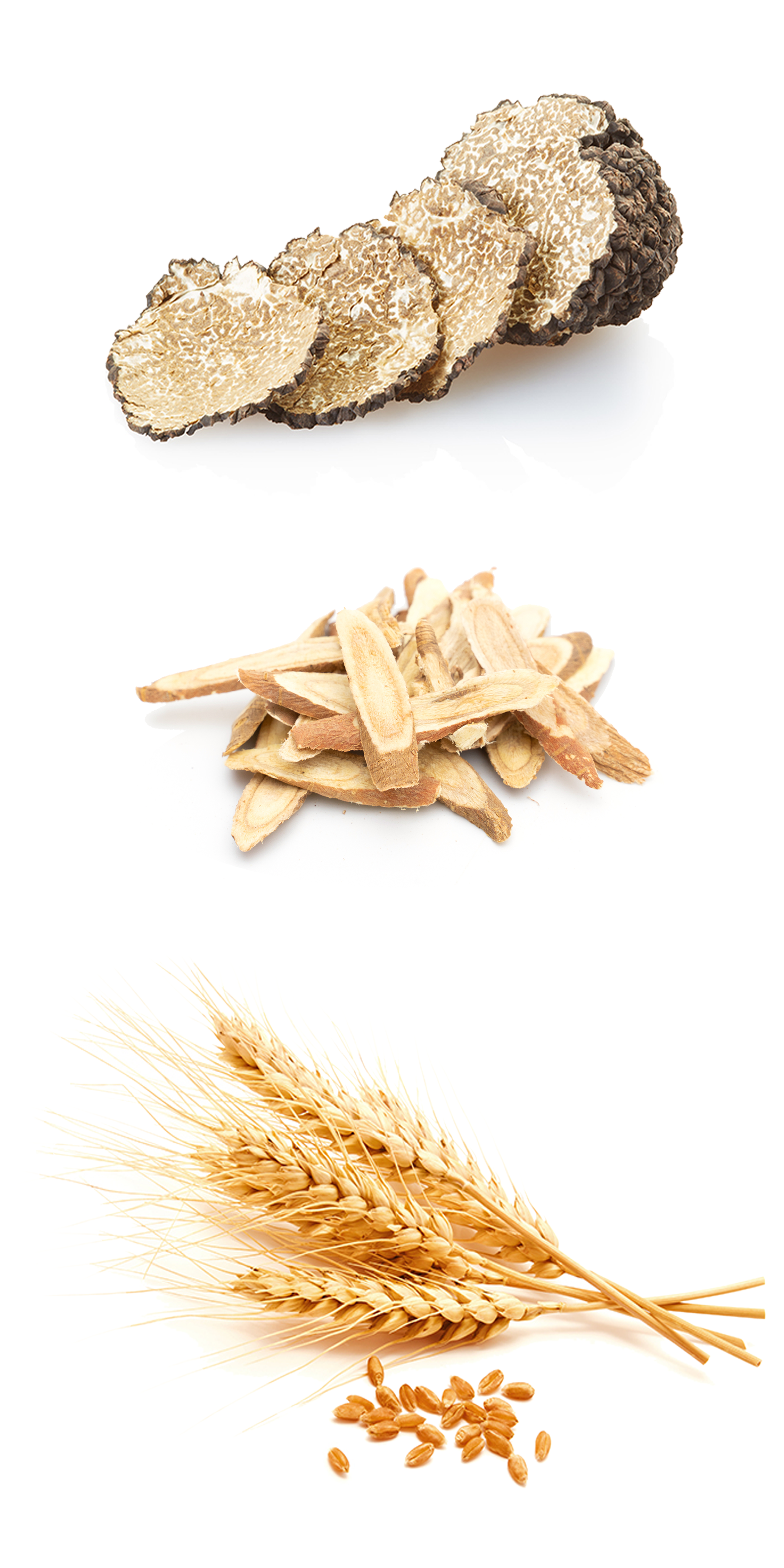 Regenerative Cream Ingredients-2