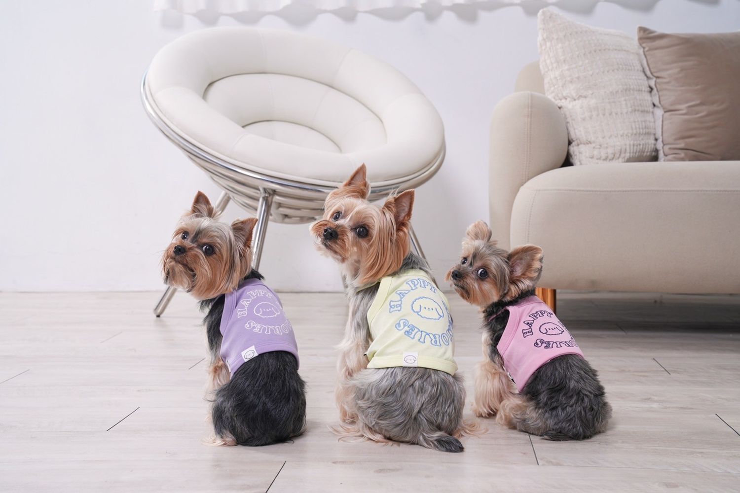 Ownny Pet_Chumi韓國代購寵物服飾 | 