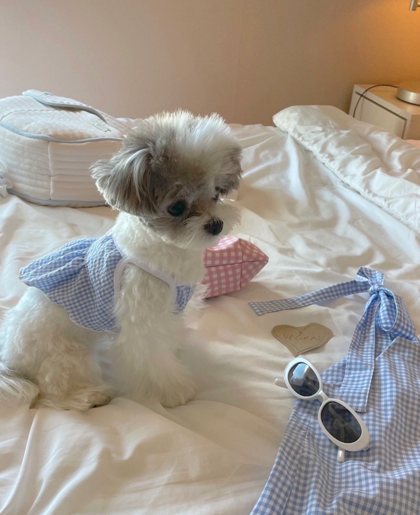 LINE_ALBUM_Near n dear_240510_142